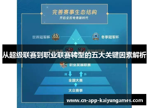 从超级联赛到职业联赛转型的五大关键因素解析