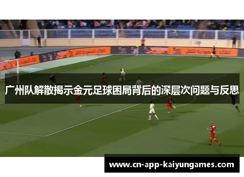 广州队解散揭示金元足球困局背后的深层次问题与反思