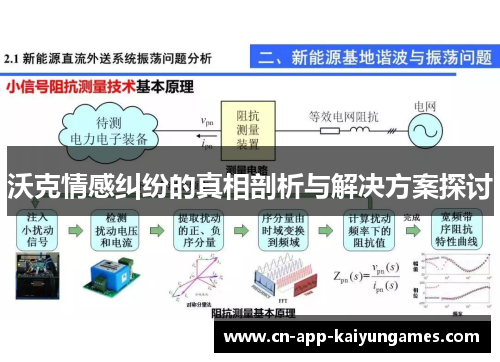 沃克情感纠纷的真相剖析与解决方案探讨