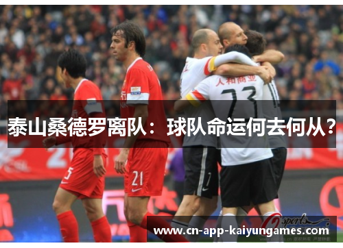 泰山桑德罗离队：球队命运何去何从？