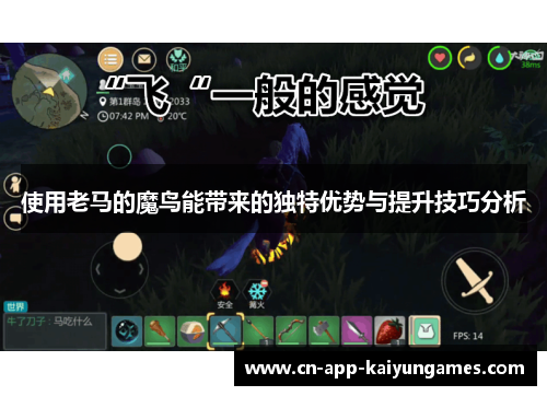 使用老马的魔鸟能带来的独特优势与提升技巧分析