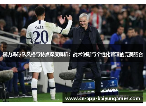 魔力鸟球队风格与特点深度解析：战术创新与个性化管理的完美结合