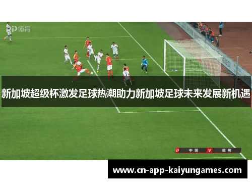 新加坡超级杯激发足球热潮助力新加坡足球未来发展新机遇